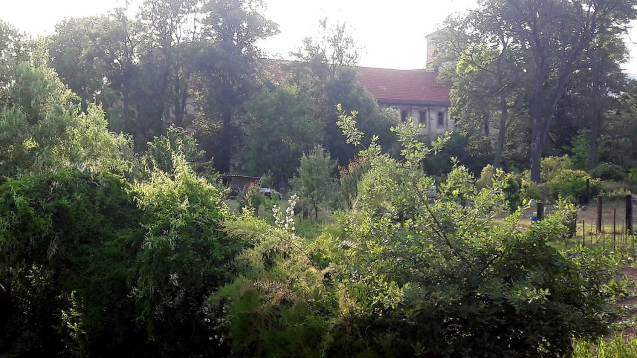 Litoměřice Pivovar Spitt Zahorany旅馆 外观 照片
